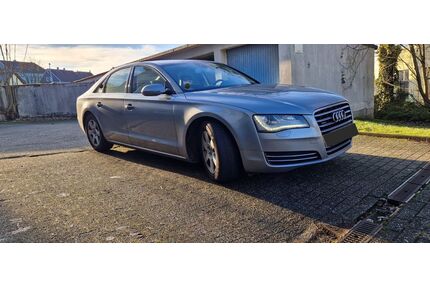 Audi A8 Gebrauchtwagen