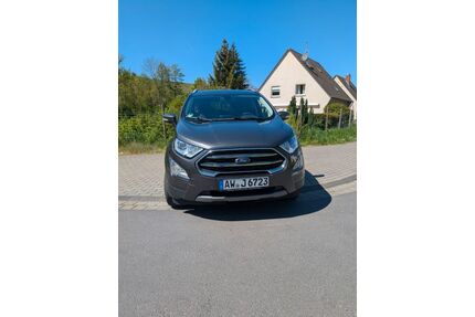 Ford EcoSport Gebrauchtwagen