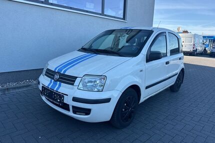 Fiat Panda Gebrauchtwagen