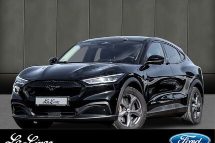 Ford Mustang Mach-E Gebrauchtwagen