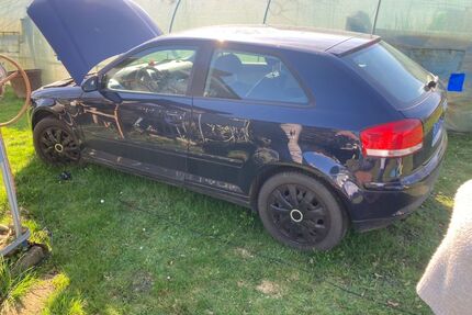 Audi A3 Gebrauchtwagen