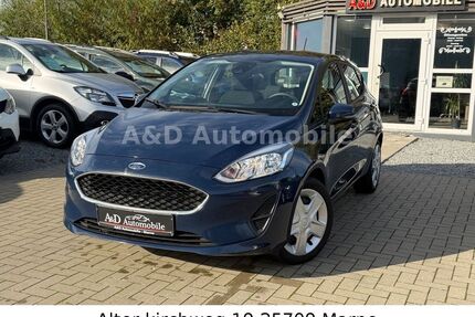 Ford Fiesta Gebrauchtwagen