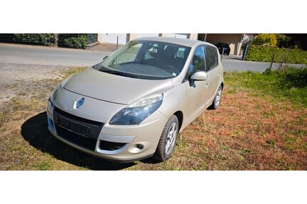 Renault Scenic Gebrauchtwagen