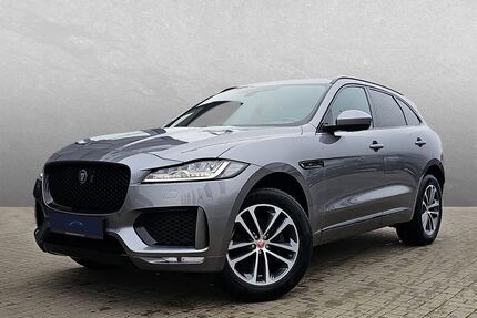 Jaguar F-Pace Gebrauchtwagen