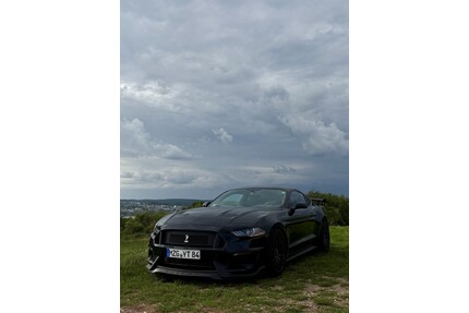 Ford Mustang Gebrauchtwagen