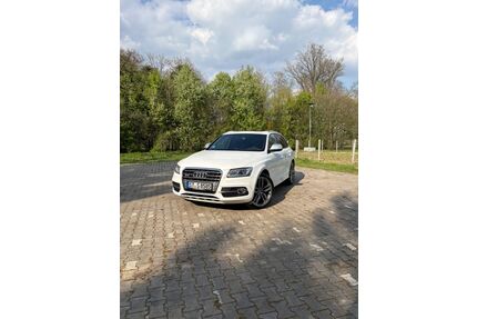 Audi SQ5 Gebrauchtwagen