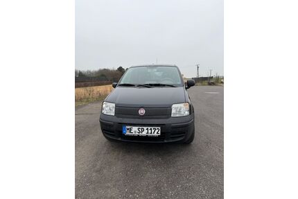 Fiat Panda Gebrauchtwagen