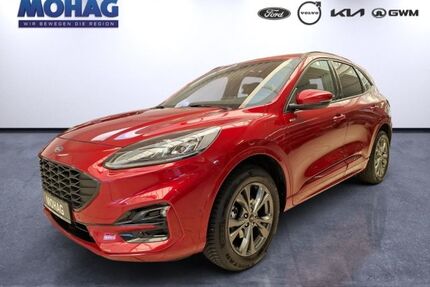 Ford Kuga Gebrauchtwagen