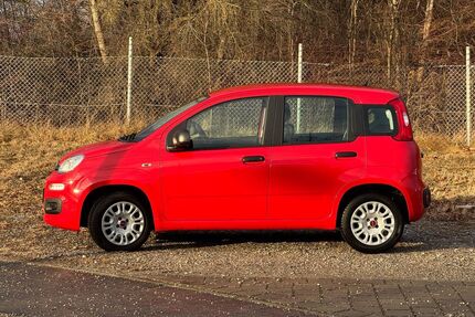 Fiat New Panda Gebrauchtwagen