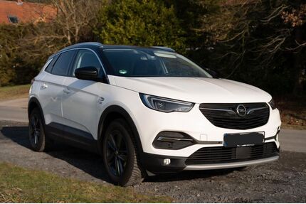 Opel Grandland (X) Gebrauchtwagen