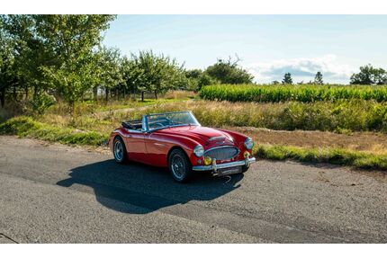 Austin Healey Andere 
