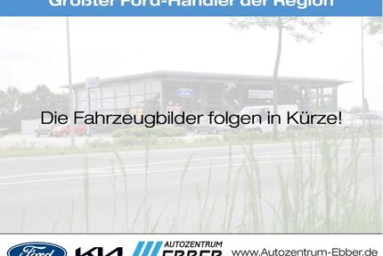 Ford Edge Gebrauchtwagen