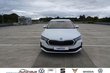 Skoda Octavia Gebrauchtwagen