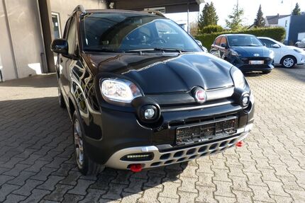 Fiat Panda Gebrauchtwagen