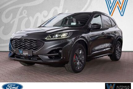 Ford Kuga Gebrauchtwagen