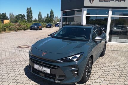 Cupra Terramar Gebrauchtwagen