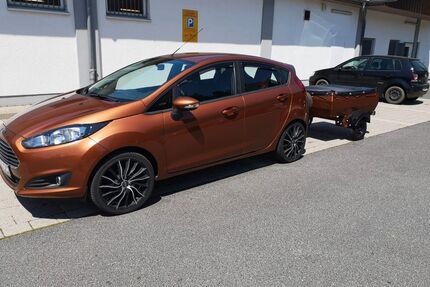 Ford Fiesta Gebrauchtwagen