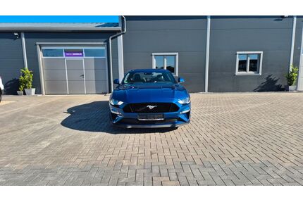 Ford Mustang Gebrauchtwagen