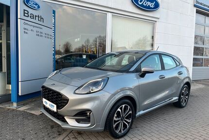 Ford Puma Gebrauchtwagen