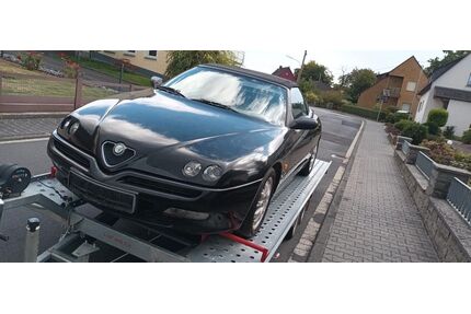 Alfa Romeo Spider Gebrauchtwagen