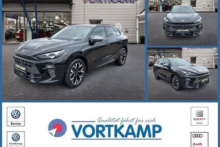 Cupra Terramar Gebrauchtwagen