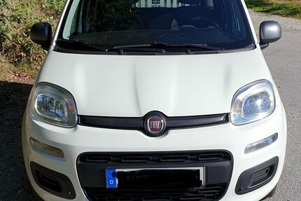 Fiat New Panda Gebrauchtwagen