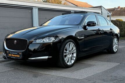 Jaguar XF Gebrauchtwagen