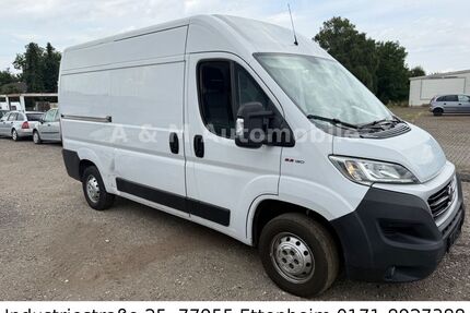 Fiat Ducato Gebrauchtwagen