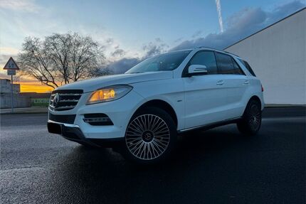 Mercedes-Benz ML 250 Gebrauchtwagen