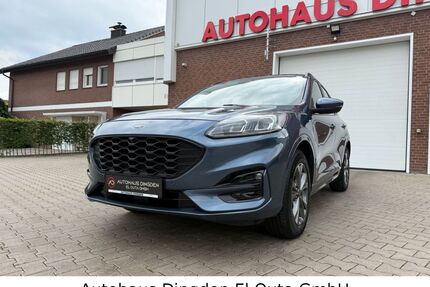 Ford Kuga Gebrauchtwagen