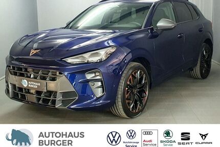 Cupra Terramar Gebrauchtwagen