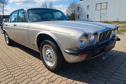 Jaguar XJ6 Gebrauchtwagen