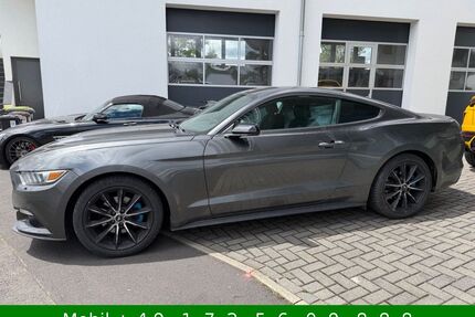 Ford Mustang Gebrauchtwagen