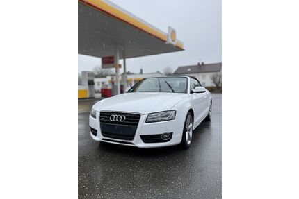 Audi A5 Gebrauchtwagen