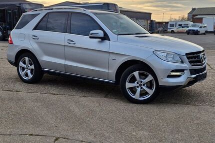 Mercedes-Benz ML 250 Gebrauchtwagen