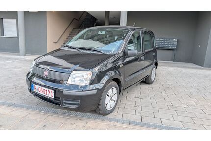 Fiat Panda Gebrauchtwagen