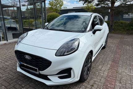 Ford Puma Gebrauchtwagen