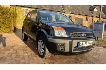 Ford Fusion Gebrauchtwagen