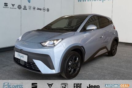 BYD DOLPHIN Gebrauchtwagen