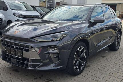 Cupra Terramar Gebrauchtwagen