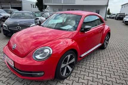 VW Beetle Gebrauchtwagen