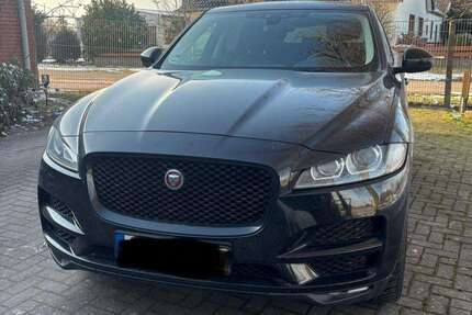 Jaguar F-Pace Gebrauchtwagen