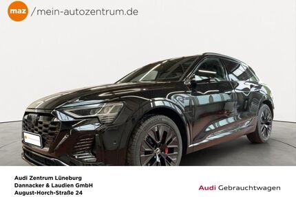 Audi Q8 e-tron Gebrauchtwagen