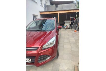 Ford Kuga Gebrauchtwagen