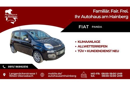 Fiat Panda Gebrauchtwagen