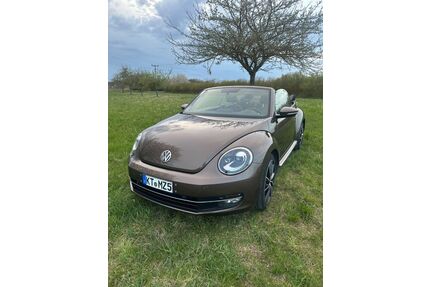 VW Beetle Gebrauchtwagen