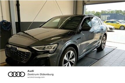 Audi Q8 e-tron Gebrauchtwagen
