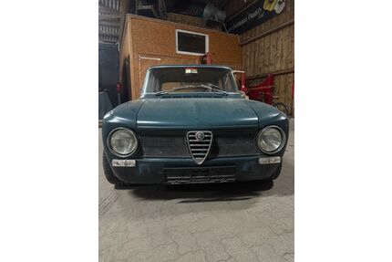Alfa Romeo Giulia Gebrauchtwagen