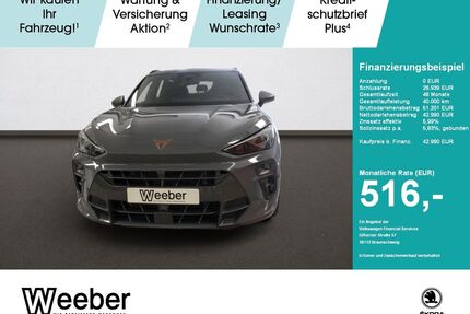 Cupra Terramar Gebrauchtwagen