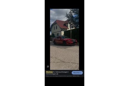 Ford Mustang Gebrauchtwagen